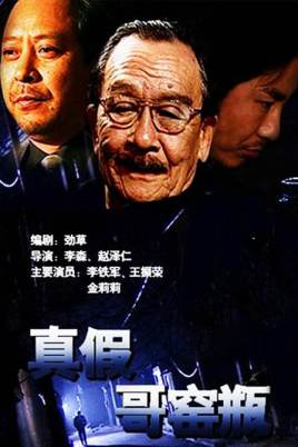 真假哥窑瓶海报